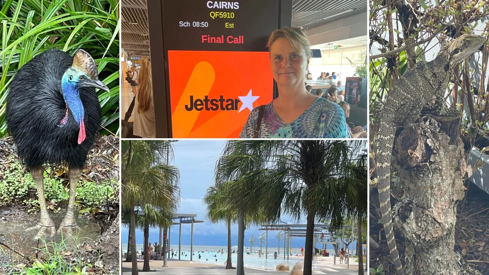 Under sin vistelse i Australien har Maria Olsen träffat på en hel del exotiska djur. Vissa djur har hon sett i regnskogen, andra har dykt upp hemma i trädgården.
