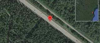 Träd över vägen påverkar trafiken på väg 372