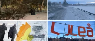 Trafikverket: Ge er inte ut i vägtrafiken
