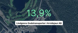 Så gick det för Lindgrens Godstransporter i Arvidsjaur AB i fjol