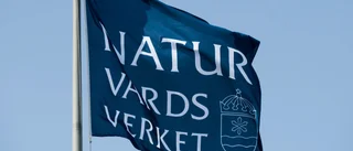 Dags för nytt klimatkliv – men nu blir det mindre pengar