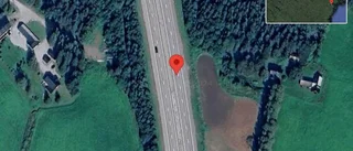 Trafikverket varnar för rådjur på vägen på E4