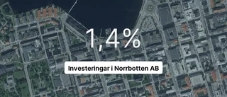 Investeringar i Norrbotten AB tappade 26,4 procent av intäkterna