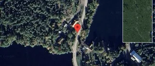 Träd över vägen skapar problem i trafiken på väg 790