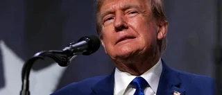 Trumpkampanjens svar: "Hade licens att spela Abba"