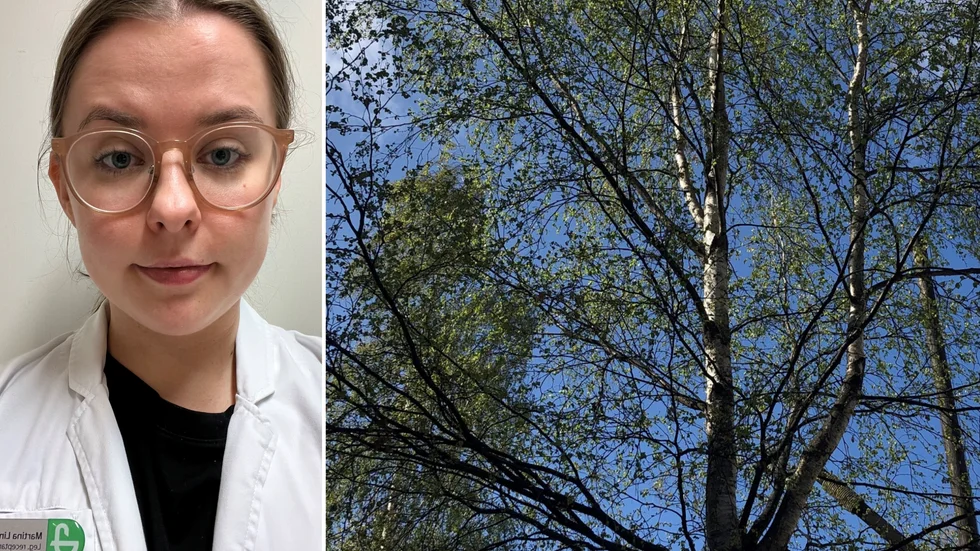 Martina Lindqvist, receptarie på Apoteket Renen i Piteå, säger att det är flera som söker hjälp för pollen besvär.