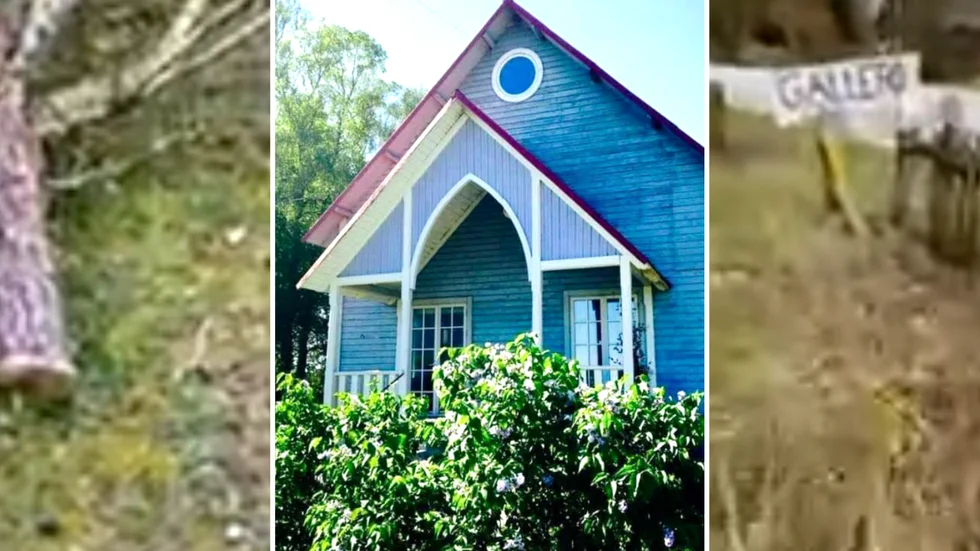Konstnären Gunilla Larsén fick hela sin häck nedmejad vid sommarhuset i Alskog.