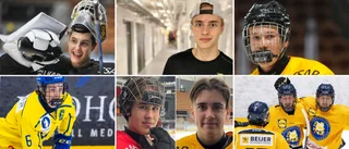 Sju från Luleå i landslagets trupp inför klassiska turneringen