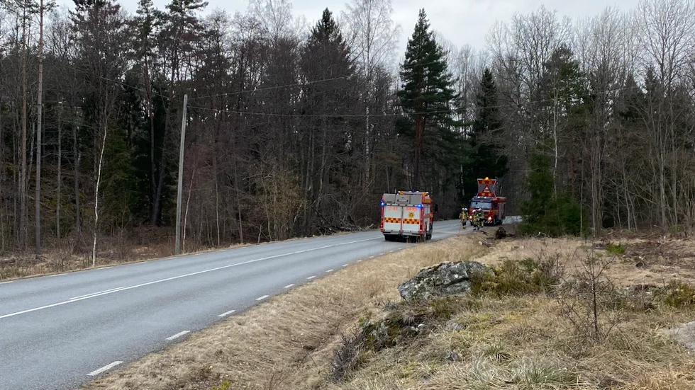 Räddningstjänsten på plats för att plocka bort trädet.