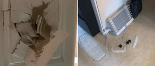 Polisens fynd: Blodspår och hårtussar i lägenheten