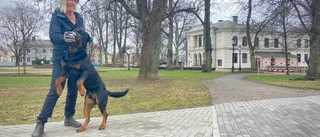 Nyköpingsborna om aprilskämten som fastnat