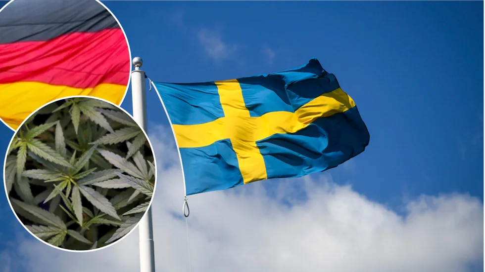 Lagligt. Den 1 april blev det lagligt att odla och inneha cannabis för eget bruk i Tyskland.