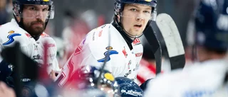 Förre LHC-backen poppis i AHL – Shinimin straffas 