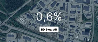 Omsättningen tar fart för BD Bygg AB – men resultatet sjunker