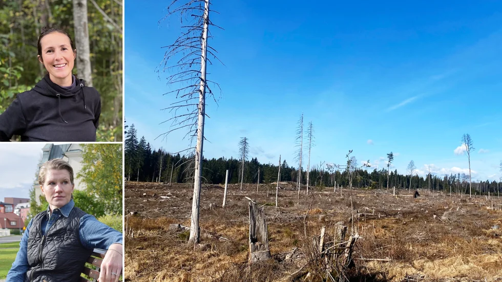 Skogsbruk debatterades av Linnea Öhman (Mp) och Micaela Löwenhöök (M) under Skellefteås kommunfullmäktige den 27 februari.