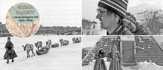 "En angelägen bok om historia som borde utvecklas till lärobok"