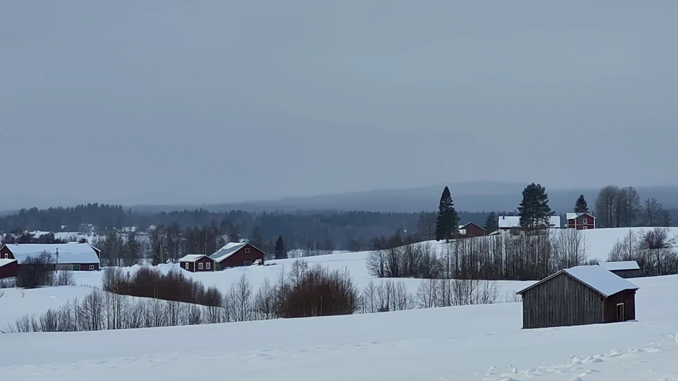 
Tystnaden, lugnet och det öppna landskapet i exempelvis Bäckliden är oersättliga värden, menar skribenten.
