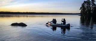 Därför försämras skötseln av våra naturreservat