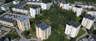 Becksvart i Stenkulla          