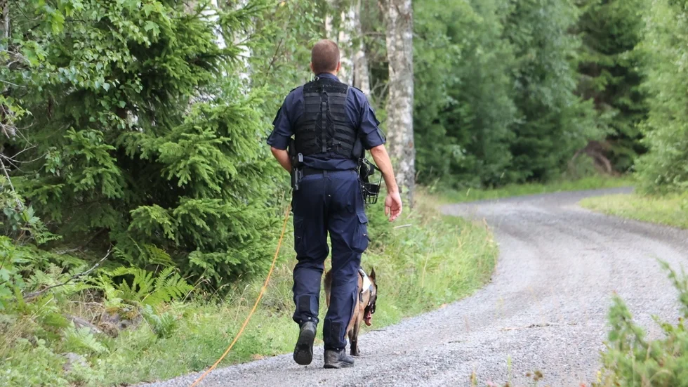 En stor polisinsats, med både hundpatruller och polishelikopter, inleddes i jakt på de fyra männen som greps i samband med brottet.