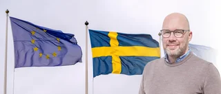 "Denna vecka har jag som politiker varit med att fatta 80 beslut"