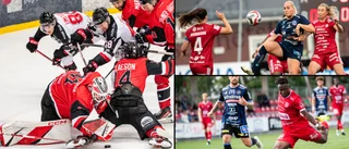 Jättekrocken uteblir – Piteå Hockey flyttar premiären