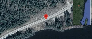 Varnar för djur på vägen på E22