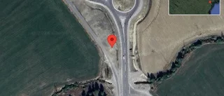 Älg på fel sida viltstängslet på väg 503