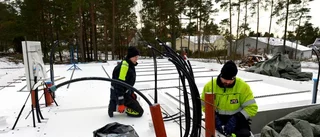 Företag på stadig grund