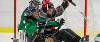 Kälkhockeyn intog Enköping