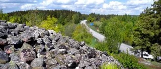 Mycket att se runt Gamlebyviken