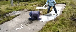 Märkligast i hela Småland