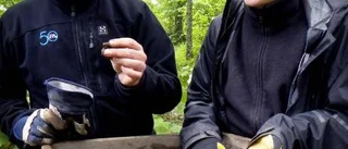 Yngre stenålder grävs fram