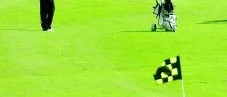 Golfbanor  
gynnar djurlivet
