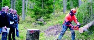 Blivande såglärare tränade i Gamleby
