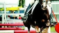 Full fart över hindret. Gamleby Ridklubbs Nathalie Fritz och Munsboro Moran tog en klassegrar vid helgens ponnytävlingar vid Målserum.Foto: MATILDA AHL