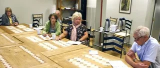 Vrinnevilistan regerar med vem som helst