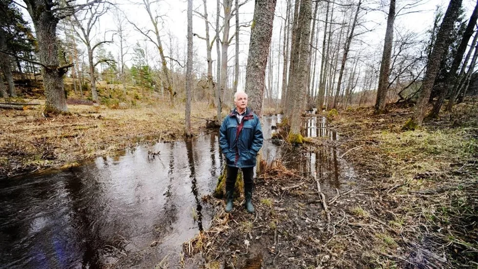 Thomas Hedfors avslutade bara för någon vecka sedan avverkningen av tallskog i det här området. Skogsstyrelsen betalar en del av avverkningen för att lyfta fram ädellövsskogen. I det här området kan E22 komma att dras i framtiden.