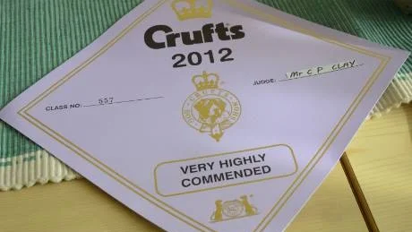 Att ställa ut på Crufts i England är alla uppfödares våta dröm.