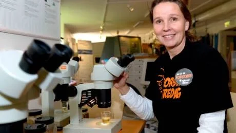 Maria Kappling, föreståndare för Naturum på Västerviks Museum hade mycket spännande att visa i mikropskopet om alla små plankton som lever i Östersjöns vatten. Foto: Ilkka Ranta