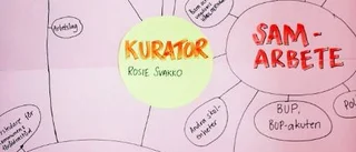 Inga kuratorer trots lagkrav