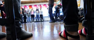 Skapande multikultur i Ankarsrum