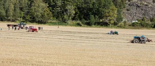 Mästerskap i veteranplöjning på Stensnäs