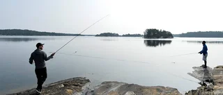Vår i "Paradiset"