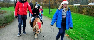 Tidig jul på Gränsö slott