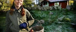 Vad händer i Falerum vecka 20?