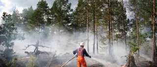 Eldningsförbud kan införas redan i helgen