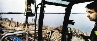 Lucernahamnen liknar ett jättelikt plockepinn