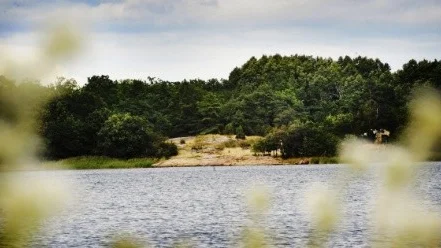Nu är det kommunerna som ger dispens från strandskyddet. Foto: Ellen Kindstrand