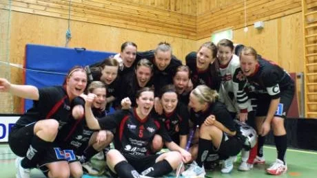 Tjejerna som säkrade WIBK:s serieseger i div. III. Bakre raden från vänster: Emma Stenborg, Helen Ringenhag, Lisa Nilsson, Jennipher Nilsson och Charlotte Åström. Mittenraden från vänster: Sara Gustafsson, Maria Svahn och Sandra Svensson. Främre raden från vänster: Ida Wiberg, Emma Pecher, Malin Stenborg, Karin Wiberg och Elin Looström. Foto: Privat